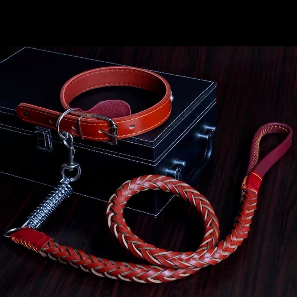Large dog leather leash with coller